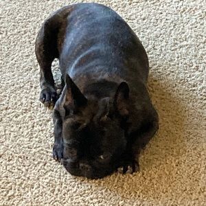 Meet your Posher, George